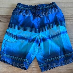Blue Striped Swim Shorts